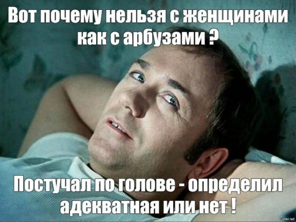 Прикольные цитаты про мужчин