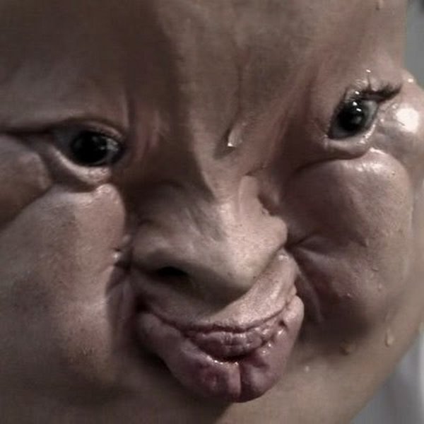 Мем пытается не заржать