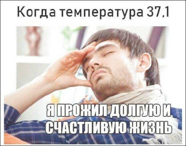 Температура 37 Мем
