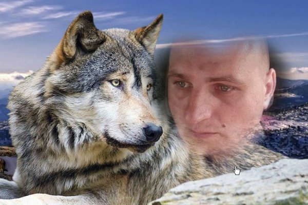 Волк на фоне человека