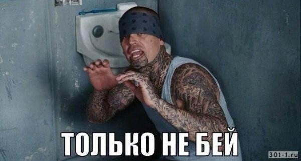Не бейте меня Мем