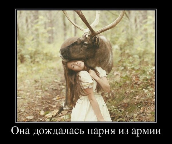 Олень демотиватор