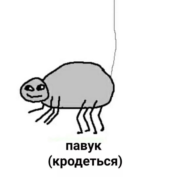 Павук Мем