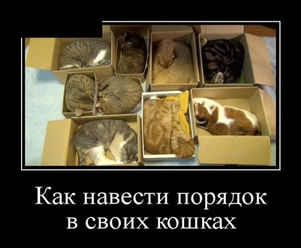 Демотиваторы про сильных и независимых женщин