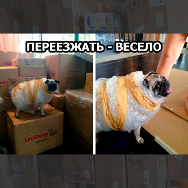 Переезд прикол