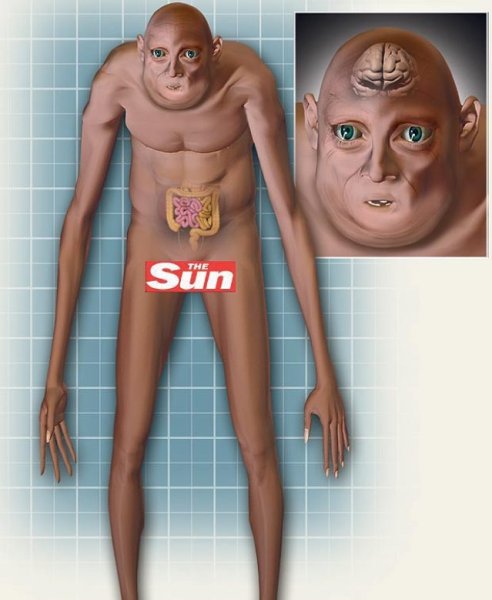 Человек через миллион лет