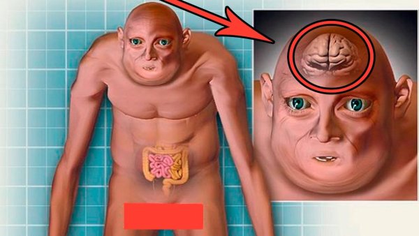 Человек будущего как будет выглядеть