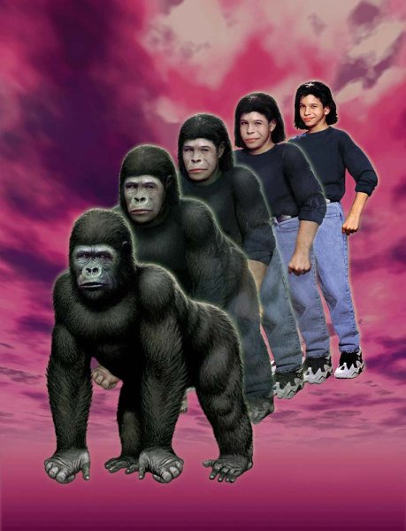 Animorphs обложки