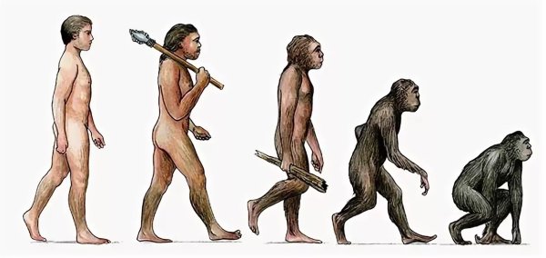 Превращение обезьяны в человека