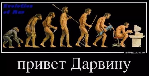 Труд создал из обезьяны человека