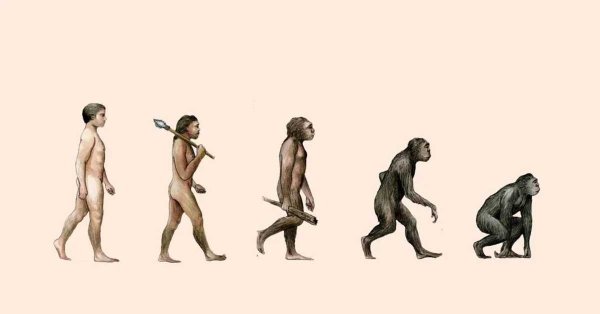 Эволюция человека