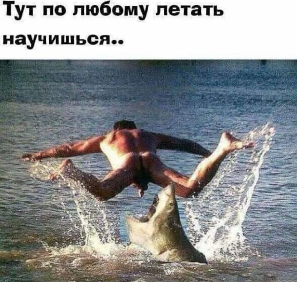 Тут по любому летать научишься картинка