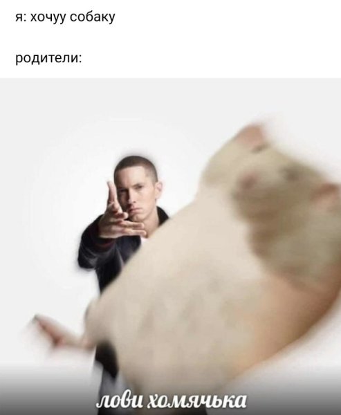 Чел кидает хомяка