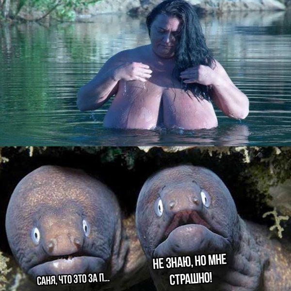 Смешные картинки