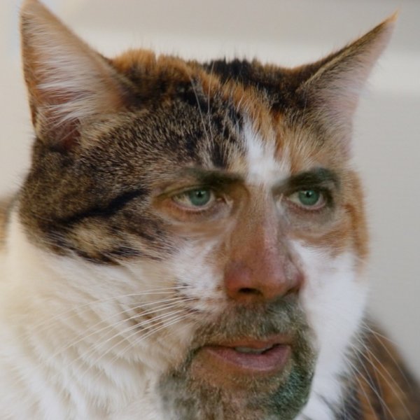 Пес Николас Кейдж