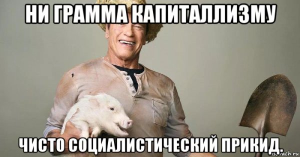 Конон огородник 18 марта