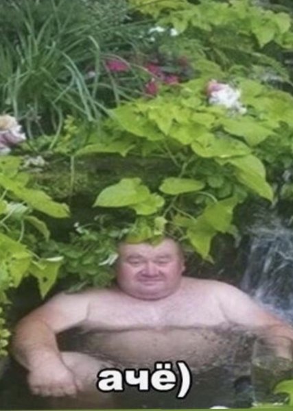 Даче мужик в воде