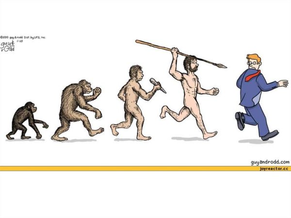 Из обезьяны в человека