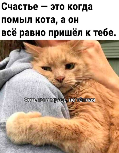 Женщина не человек