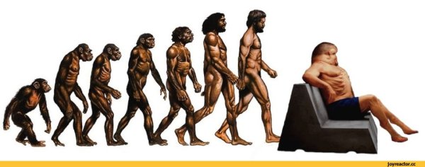 Происхождение человека