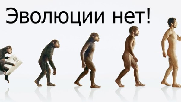 Эволюция от обезьяны до человека