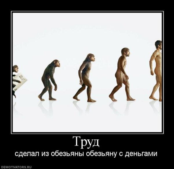 Труд превратил обезьяну в человека