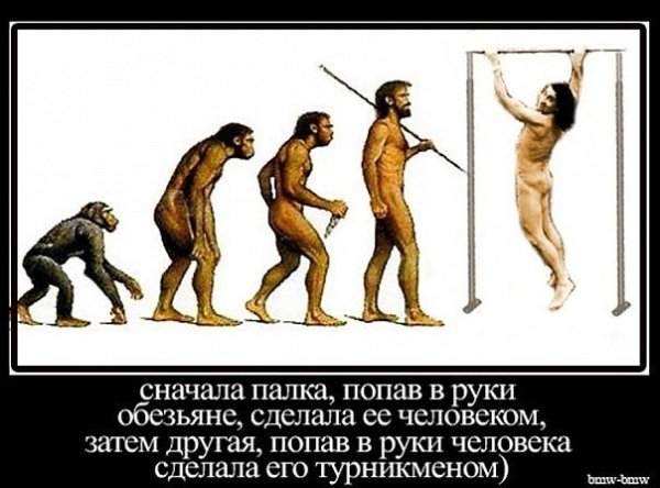 Работа из обезьяны сделала