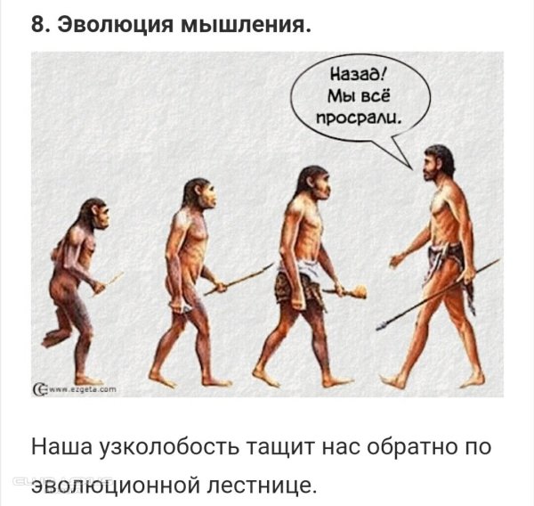 Эволюция человека демотиватор