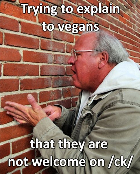 Человек разговаривает со СТЕО