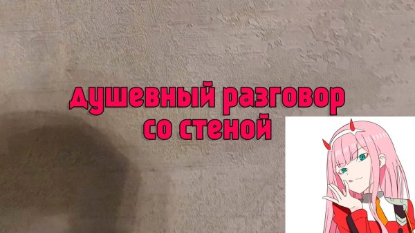 Поговорил со стеной