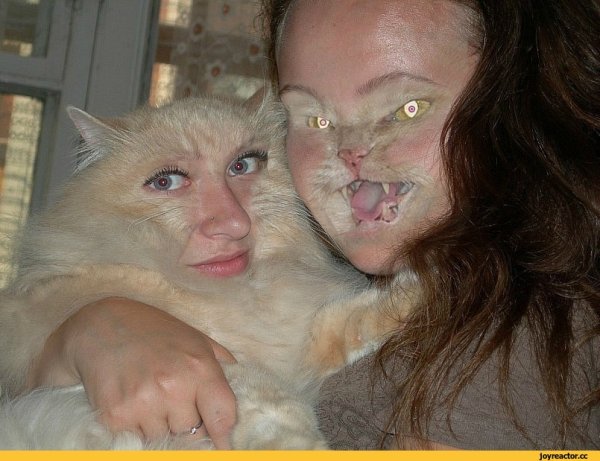 Коты с человеческим лицом