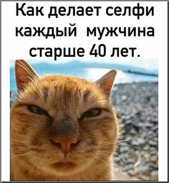 Селфи мужиков за 40 коты