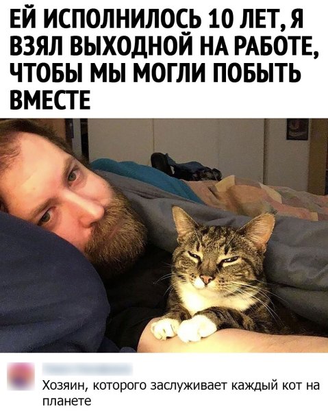 Сильный и независимый мужчина