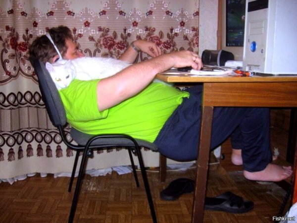 Смешно сидит за компьютером