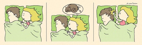 Приколы про отношения