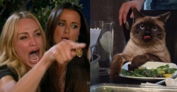 Женщина показывает на кота