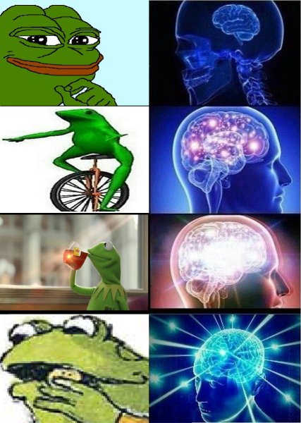 Мем с мозгом человека