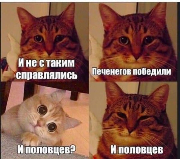 Мемыв котиуки