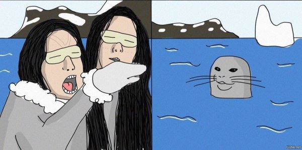 Девушки орут на кота