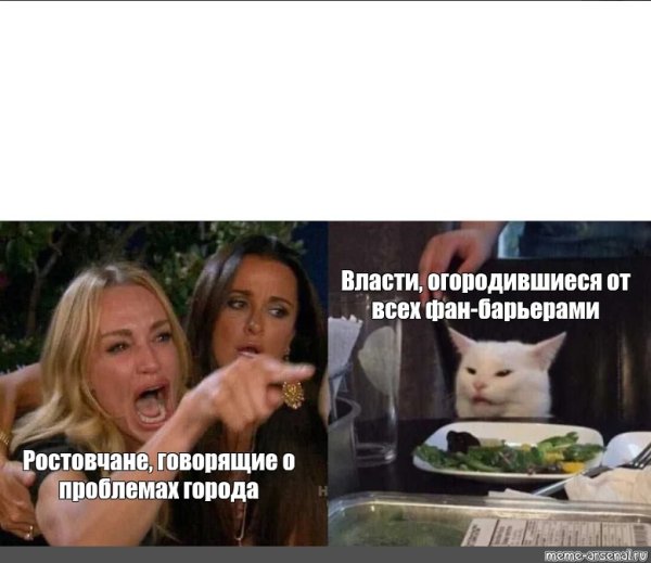 Мем с котом и двумя женщинами