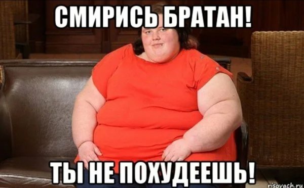 Шутки про толстых