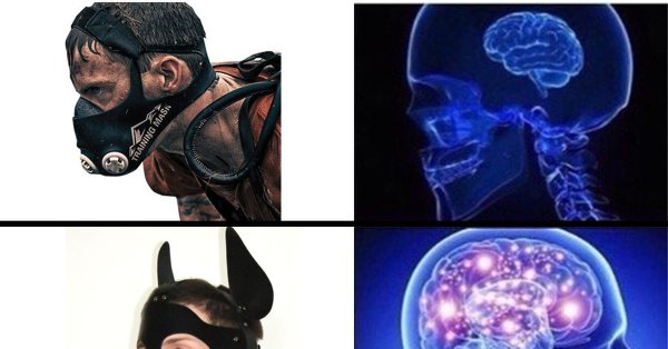 Мем с мозгом человека