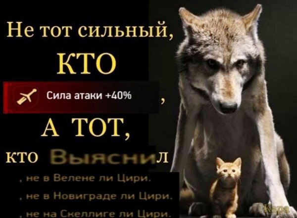 Сильный не тот кто