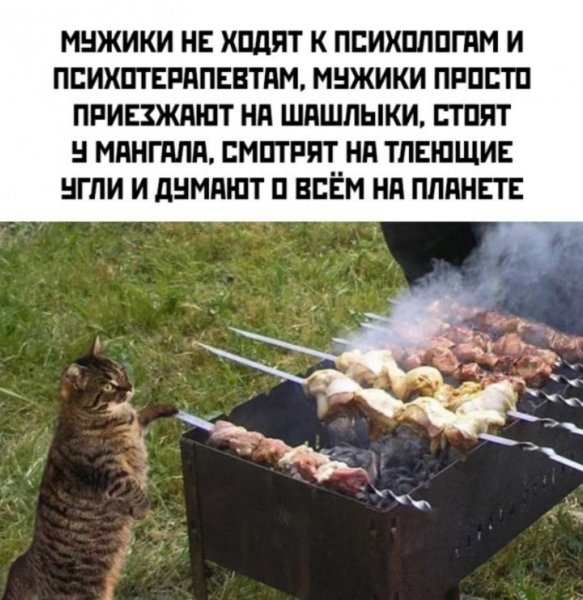Шашлык юмор