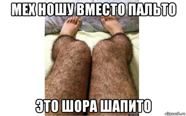 Волосатые ноги в колготках