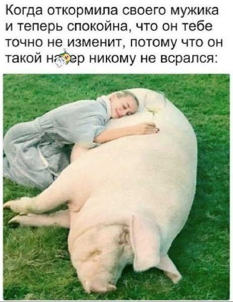 Когда раскормила своего мужика