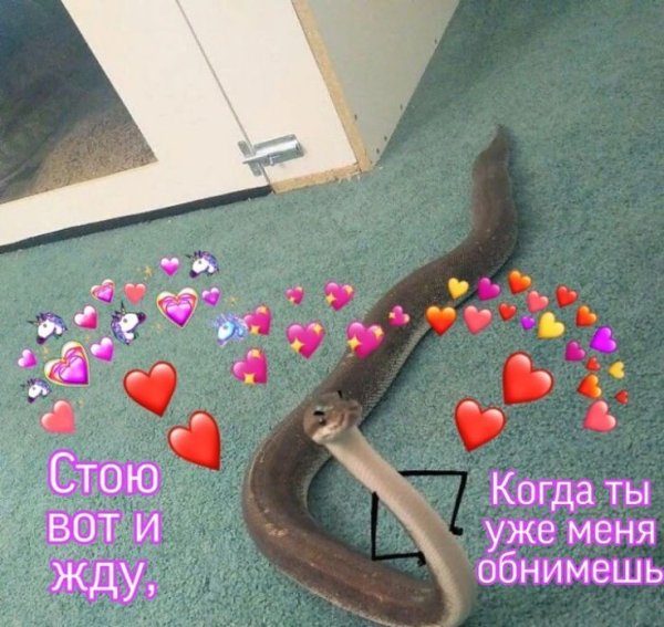 Пикчи для признания в любви