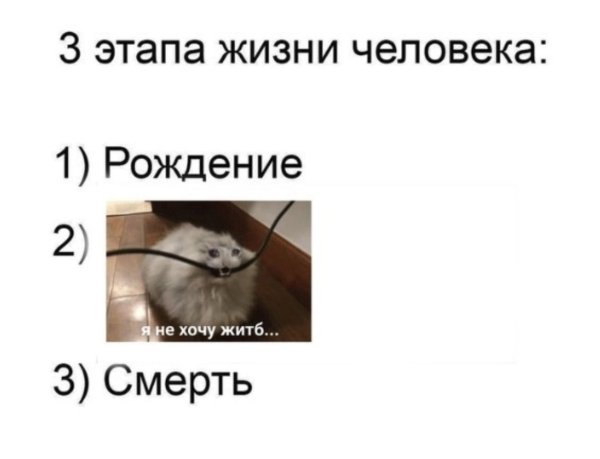 3 Этапа жизни человека Мем
