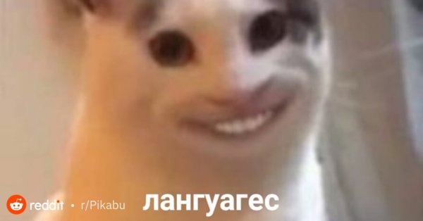 Кот улыбается Мем с зубами