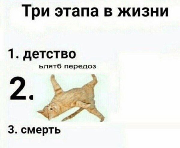 Стадии жизни человека Мем